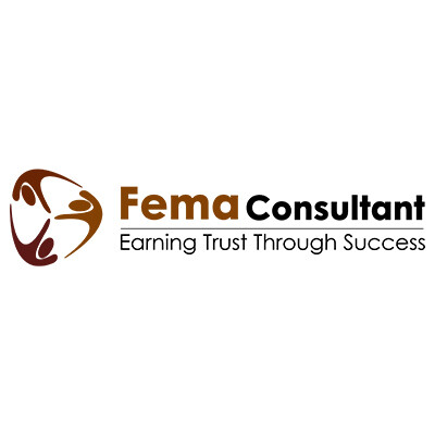 fema_consultant