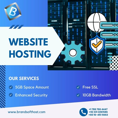 BrandsoftHost Secure Web Hosting Services