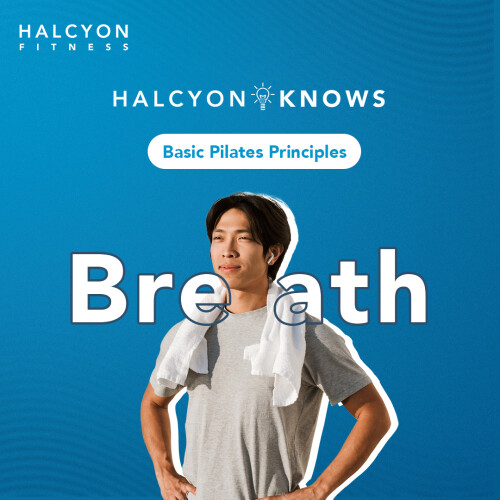 Pilates emphasizes the importance of an even breathing technique. Synchronizing the breath with movement results in an ease and flow that engages the entire body.

For any inquiries you can contact us at:
Globe: 0917 656 2363
Smart: 0919 436 3582

#halcyon #halcyonfitness #fitness #motivate #exercise #workout #pilates #PhysicalTherapy #StottPilates #RehabPilates #rehabilitativePilates #BackCare #FatLoss #FatLossProgram #HomeExercisePlan #SeniorsWorkOut # #SportsConditioning #makati #metromanila #ncr