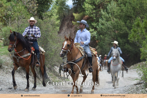 Cabalgata-Juanacatlan-105.jpeg