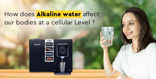 The Role of Water in Our Bodies at a Cellular Level