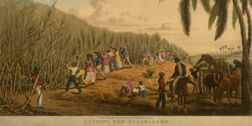 slavery-in-the-caribbean-banner.jpeg
