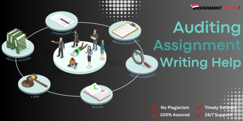 Get-Auditing-Assignment-Writing-Services-By-Ph.D-Experts.jpeg
