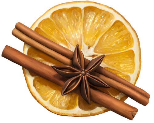 Ginger-Goodness-35.png