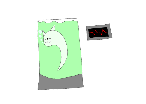 Cat-Lab-Chamber-398.png