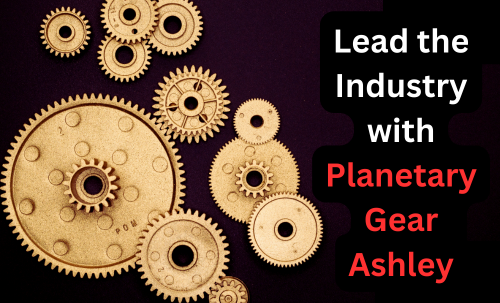 Lead-the-Industry-with-Planetary-Gear-Ashley.png