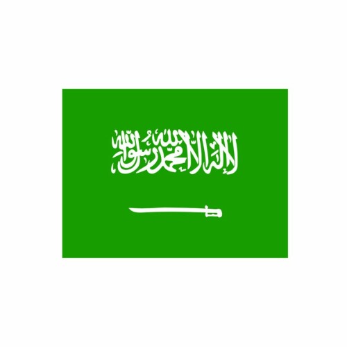 Saudivisa-logo.jpeg
