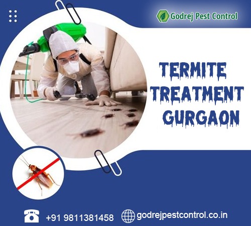 Termite Treatment India