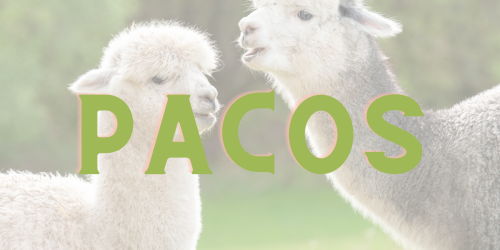 PACOS.png