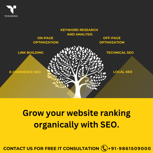 The-Best-SEO-Company-In-Ambala.png
