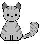 silver-tabby.png