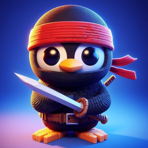ninja2.jpeg