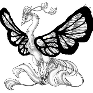 Aurleon-butterfly-wings