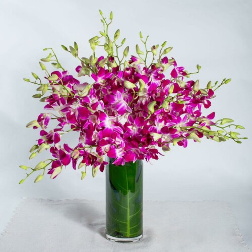 Buy-Charming-Blue-Orchids-Bouquets-Online-in-Singapore--Princes-Flower-Shop.jpeg