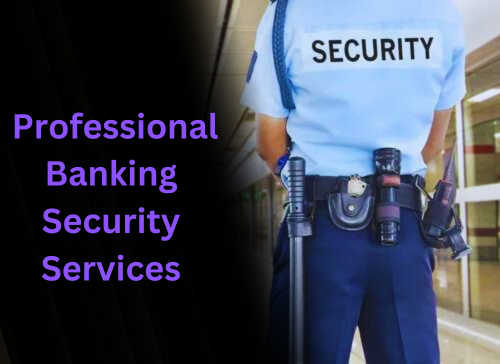 _Professional-Banking-Security-Services.png
