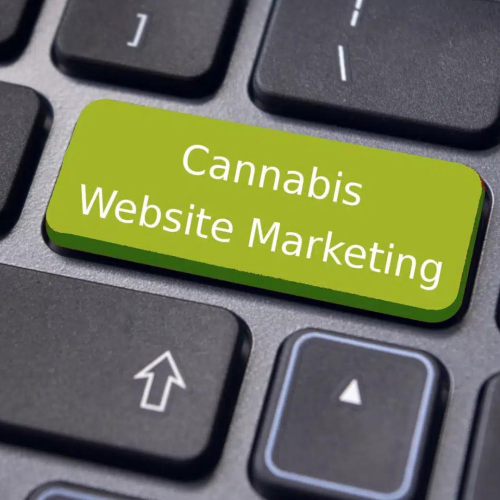 Cannabis-SEO-Strategies-for-Online-Visibility-1.png