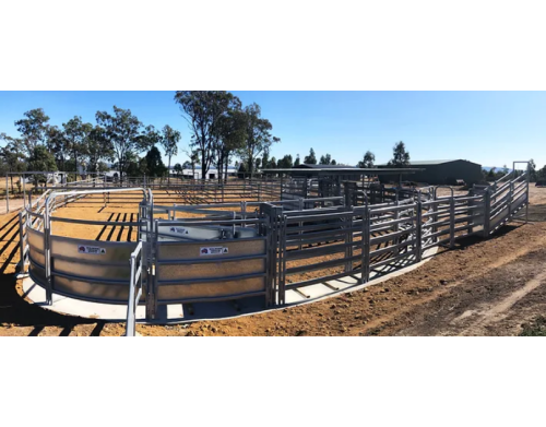 Searching for top-notch cattle handling equipment to simplify your farm chores? You've landed at the perfect spot! Enhancing your farm's efficiency begins with choosing the appropriate tools. Whether it's feeding, grooming, or managing, the correct equipment can significantly reduce your workload while prioritizing the well-being and safety of your cattle. Our carefully selected list showcases premium cattle handling equipment, tailored to suit the distinct requirements of both dairy and beef farmers. Bid farewell to tedious tasks and usher in a new era of productive farming with our expert-recommended gear!