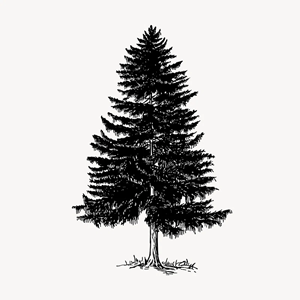 Pine-Tree-Icon58e3d39794c1cdb6.png