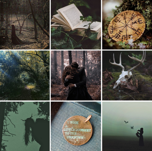 Mystery Forest Moodboard