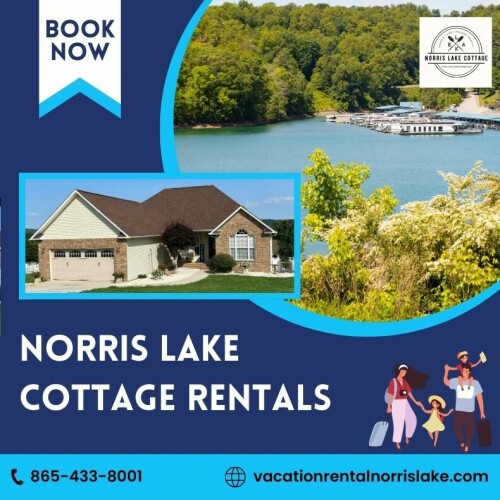 Hotels can be expensive, with rooms typically smaller than Norris Lake cottage rentals, making it difficult to spread out and relax. At Norris Lake Comfy Cottage, our rentals offer a more affordable option compared to hotel stays, especially for larger families, at affordable prices. You'll also enjoy more privacy compared to crowded hotels. Visit our website and book your stay today!