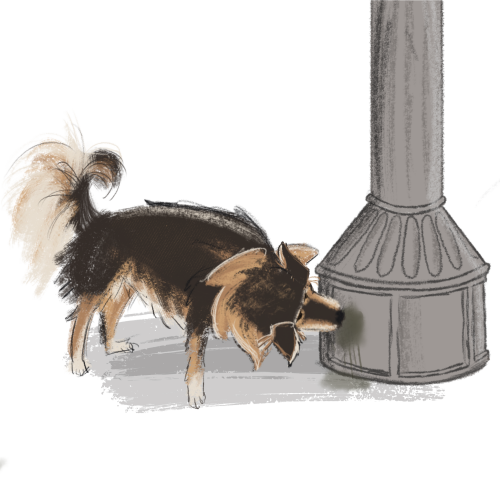 Sniffing_Lamppost.png