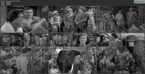 05. Tarzan Escapes (1936)