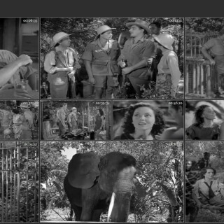 05.-Tarzan-Escapes-1936