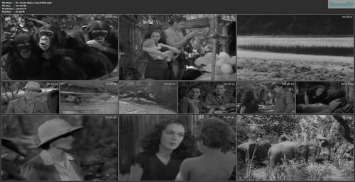 07. Tarzan Finds a Son (1939)