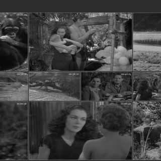 07.-Tarzan-Finds-a-Son-1939