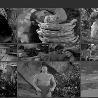 08.-Tarzans-Secret-Treasure-1941