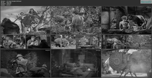 10.-Tarzan-Triumphs-1943.jpg