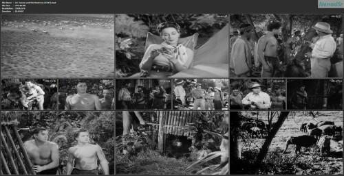 14. Tarzan and the Huntress (1947)