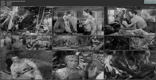 16. Tarzan's Magic Fountain (1949)
