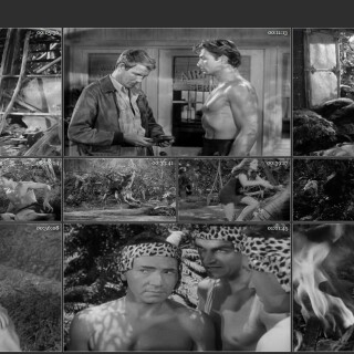 16.-Tarzans-Magic-Fountain-1949