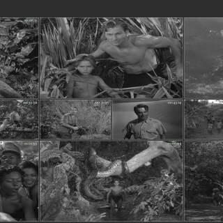 19.-Tarzans-Savage-Fury-1952
