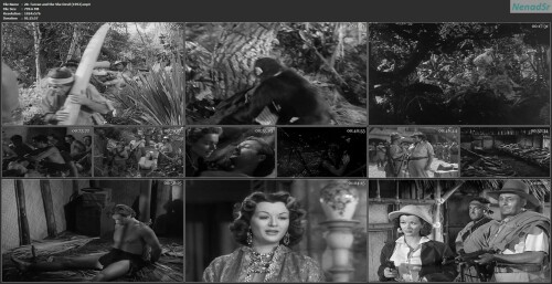 20. Tarzan and the She Devil (1953)