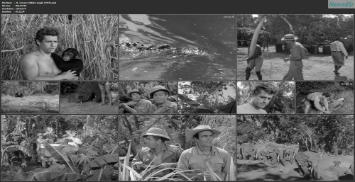 21.-Tarzans-Hidden-Jungle-1955.jpg