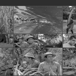 21.-Tarzans-Hidden-Jungle-1955