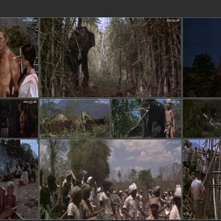 27.-Tarzan-Goes-to-India-1962