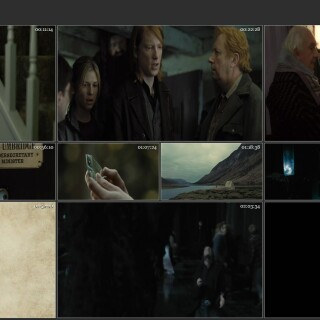 Harry-Potter-07-The-Deathly-Hallows-Part-1-2010