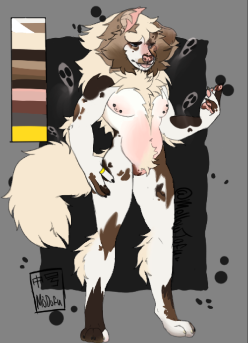 Finished Ref Trans